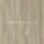 Дизайн плитка Forbo Allura wood w60084