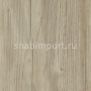 Дизайн плитка Forbo Allura wood w60084 Бежевый — купить в Москве в интернет-магазине Snabimport