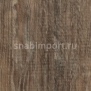 Дизайн плитка Forbo Allura wood w60150