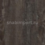 Дизайн плитка Forbo Allura wood w60154