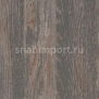 Дизайн плитка Forbo Allura wood w60161