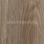 Дизайн плитка Forbo Allura wood w60187 коричневый — купить в Москве в интернет-магазине Snabimport