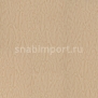 Дизайн плитка Forbo Allura Premium Plywood w60242