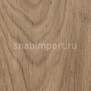 Дизайн плитка Forbo Allura Form Oak XL W60300