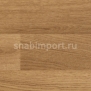 Акустический линолеум Polyflor Polysafe Wood FX Acoustix PUR 3332 Rustic Oak — купить в Москве в интернет-магазине Snabimport