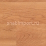 Противоскользящий линолеум Polyflor Polysafe Wood FX PUR 3307 Cherry — купить в Москве в интернет-магазине Snabimport