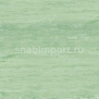 Коммерческий линолеум Polyflor XL PU 3800 Connemara Green