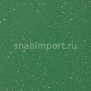 Коммерческий линолеум Altro XpressLay Gecko-XLI2202P — купить в Москве в интернет-магазине Snabimport