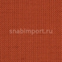 Виниловые обои Vycon Raising Cain Y46224 коричневый — купить в Москве в интернет-магазине Snabimport