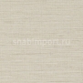 Виниловые обои Vycon Charisma Y46383 коричневый — купить в Москве в интернет-магазине Snabimport
