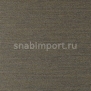 Виниловые обои Vycon Allure Y46646 коричневый — купить в Москве в интернет-магазине Snabimport