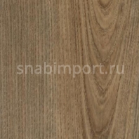 Коммерческий линолеум Forbo Eternal Wood 10362 — купить в Москве в интернет-магазине Snabimport