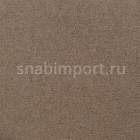 Ковровое покрытие Sintelon Eden 10530 Серый — купить в Москве в интернет-магазине Snabimport