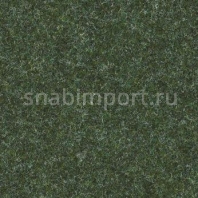 Иглопробивной ковролин Forbo Akzent 10718 зеленый — купить в Москве в интернет-магазине Snabimport