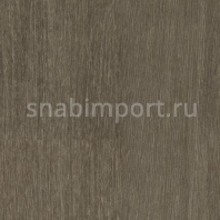 Коммерческий линолеум Forbo Eternal Wood 10732 — купить в Москве в интернет-магазине Snabimport