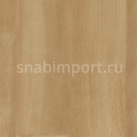 Коммерческий линолеум Forbo Eternal Wood 11442 — купить в Москве в интернет-магазине Snabimport
