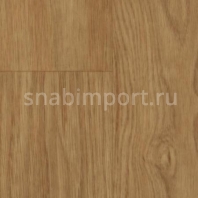 Коммерческий линолеум Forbo Eternal Wood 11542 — купить в Москве в интернет-магазине Snabimport