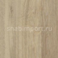 Коммерческий линолеум Forbo Eternal Wood 11912 — купить в Москве в интернет-магазине Snabimport