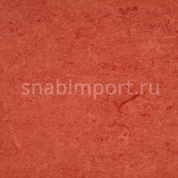 Натуральный линолеум Armstrong Marmorette LPX 121-008 (2 мм) — купить в Москве в интернет-магазине Snabimport