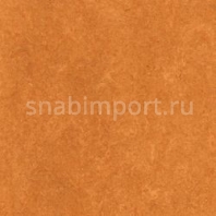 Натуральный линолеум Armstrong Marmorette LPX 121-174 (2 мм) — купить в Москве в интернет-магазине Snabimport