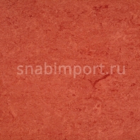 Натуральный линолеум Armstrong Marmorette PUR 125-008 (2,5 мм) — купить в Москве в интернет-магазине Snabimport