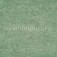 Натуральный линолеум Armstrong Marmorette PUR 125-043 (2,5 мм) — купить в Москве в интернет-магазине Snabimport