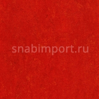 Натуральный линолеум Armstrong Marmorette PUR 125-118 (2,5 мм) — купить в Москве в интернет-магазине Snabimport