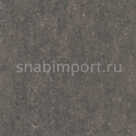 Натуральный линолеум Armstrong Marmorette PUR 125-158 (2,5 мм) — купить в Москве в интернет-магазине Snabimport