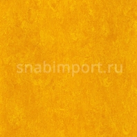 Натуральный линолеум Armstrong Marmorette PUR 125-172 (2,5 мм) — купить в Москве в интернет-магазине Snabimport