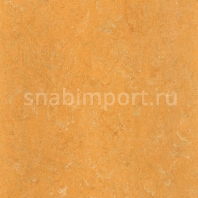 Натуральный линолеум Armstrong Marmorette PUR 125-173 (2,5 мм) — купить в Москве в интернет-магазине Snabimport