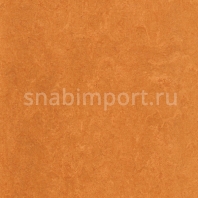 Натуральный линолеум Armstrong Marmorette PUR 125-174 (2,5 мм) — купить в Москве в интернет-магазине Snabimport