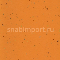 Натуральный линолеум Armstrong Lino Art Star LPX 144-075 — купить в Москве в интернет-магазине Snabimport