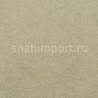 Виниловые обои BN International Suwide Oxide BN 15585 коричневый — купить в Москве в интернет-магазине Snabimport