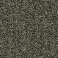Ковровое покрытие Edel Aeon 164-Olive Серый — купить в Москве в интернет-магазине Snabimport