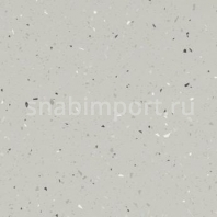 Противоскользящий линолеум Forbo Surestep star 176032 — купить в Москве в интернет-магазине Snabimport