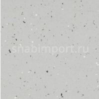 Противоскользящий линолеум Forbo Surestep star 176422 — купить в Москве в интернет-магазине Snabimport