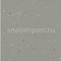 Противоскользящий линолеум Forbo Surestep star 176922 — купить в Москве в интернет-магазине Snabimport