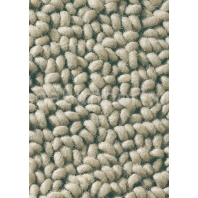 Ковры Brink Campman Loops 19001 (1,4 м*2 м)