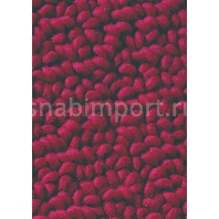Ковры Brink Campman Loops 19002 (1,4 м*2 м)