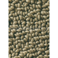 Ковры Brink Campman Loops 19003 (1,4 м*2 м)