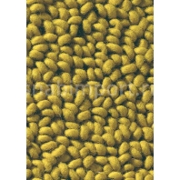 Ковры Brink Campman Loops 19006 (1,4 м*2 м)
