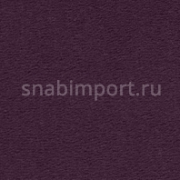 Ковровое покрытие Vorwerk DUNA 2014 1F04 фиолетовый — купить в Москве в интернет-магазине Snabimport