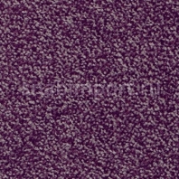 Ковровое покрытие Vorwerk COSA 1F42 фиолетовый — купить в Москве в интернет-магазине Snabimport