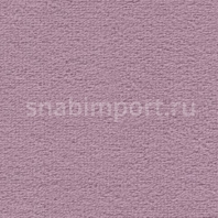 Ковровое покрытие Vorwerk DUNA 2014 1K64 серый — купить в Москве в интернет-магазине Snabimport