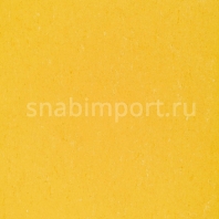 Натуральный линолеум Armstrong Colorette AcousticPlus LPX 2131-001 — купить в Москве в интернет-магазине Snabimport