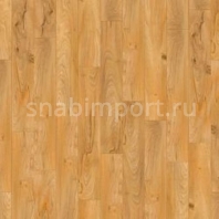 Дизайн плитка Armstrong Scala 100 PUR Wood 25076-161 желтый