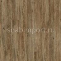 Дизайн плитка Armstrong Scala 55 Connect Wood 25324-150