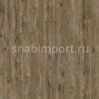 Дизайн плитка Armstrong Scala 55 Connect Wood 25325-15 — купить в Москве в интернет-магазине Snabimport