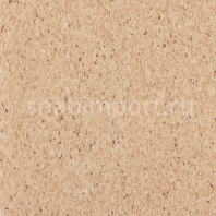 Коммерческий линолеум Tarkett IQ Granit Safe T 3052692 — купить в Москве в интернет-магазине Snabimport