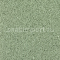 Коммерческий линолеум Tarkett IQ Granit Safe T 3052694 — купить в Москве в интернет-магазине Snabimport